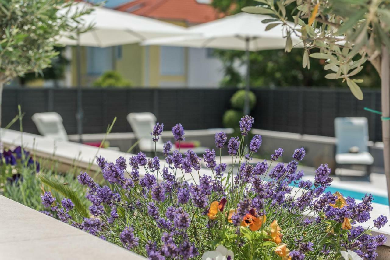 Villa Franica Zadar Eksteriør bilde